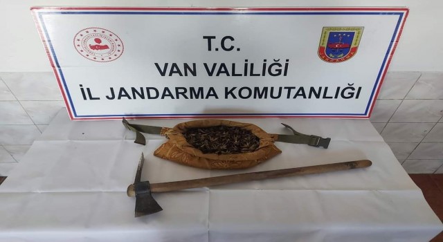 Vanda salep soğanı toplayan 7 kişi yakalandı