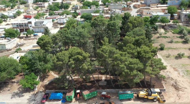 Yanal Oba Mahallesinde park çalışması
