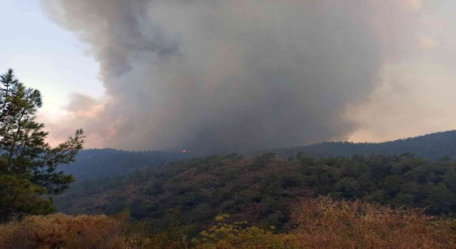 Yangın yönünü Okluk Koyuna çevirdi