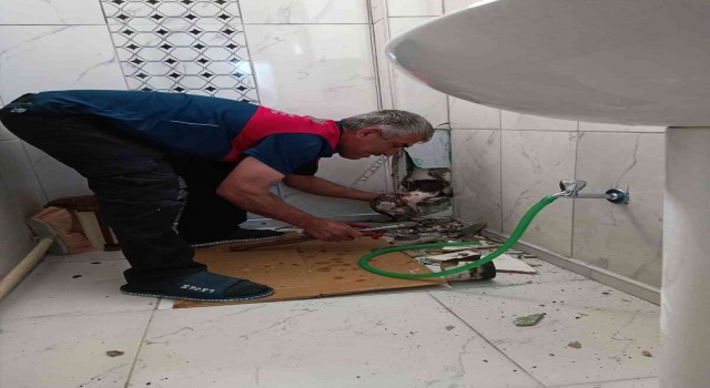 Yavru kedi borudan çıkartıldı