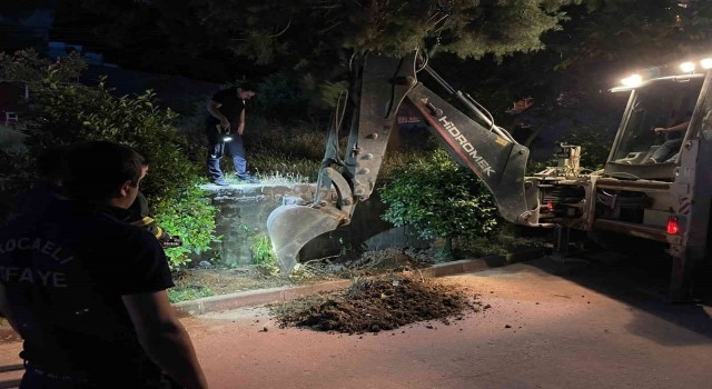 Yavru kedi gider borusunda sıkıştı, ekipler seferber oldu