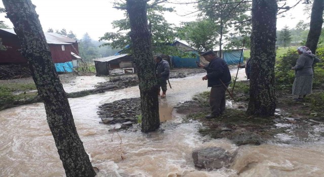 Yayla yolundaki heyelan nedeniyle 20 kişi yardım istedi