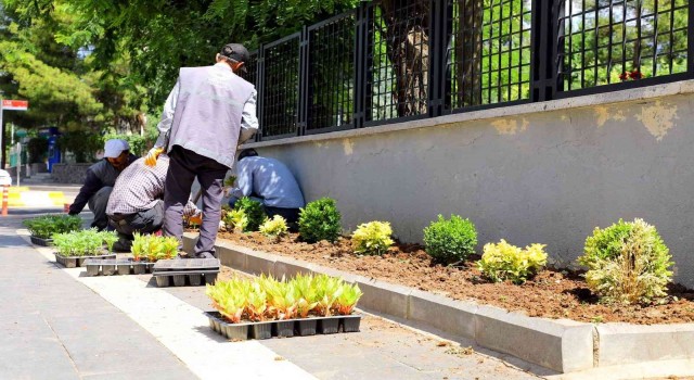 Yenişehirde park ve bahçelerde bakım