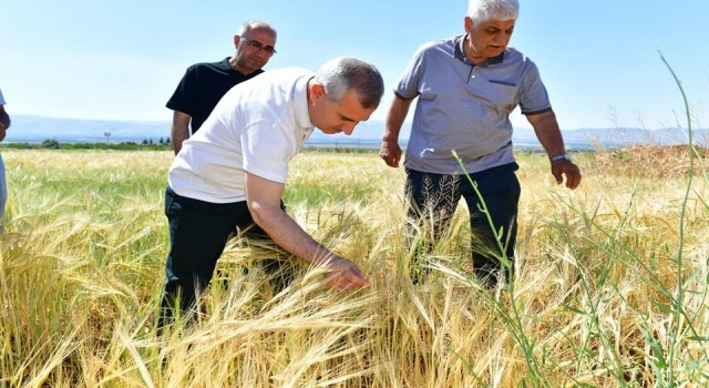 Yeşilyurtta tarımsal üretim hız kazandı