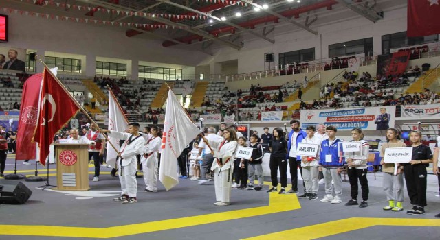 Yıldızlar Türkiye Tekvando Şampiyonasının açılış seremonisi yapıldı