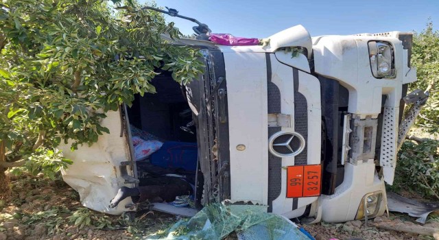 Yoldan çıkan tır meyve bahçesine devrildi, sürücü hayatını kaybetti