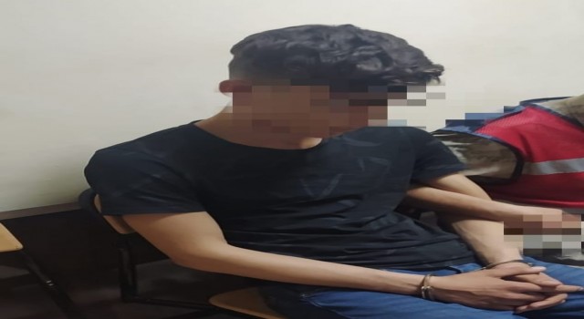 YPG üyesi terörist Şanlıurfada yakalandı