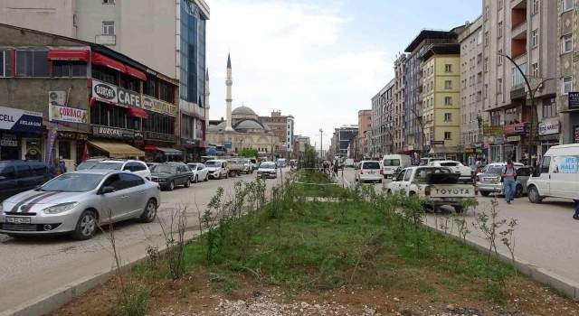 Yüksekovaya doğal gazın gelmesi vatandaşları sevindirdi