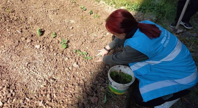 Yurdun bahçesinde Hobi Bahçesi oluşturdular