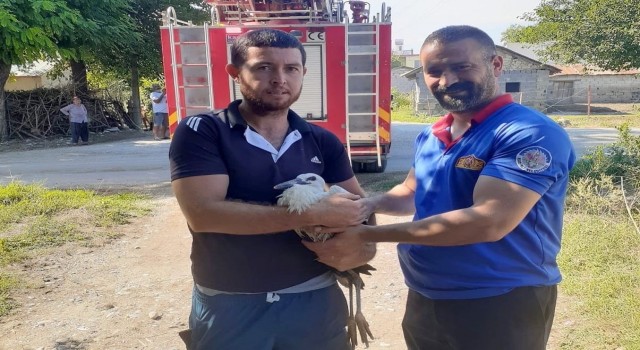 Yuvadan düşen yavru leyleğin yardımına itfaiye koştu