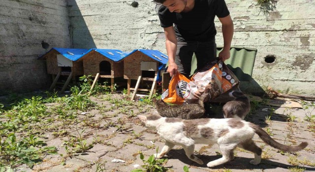 ZBEÜ İletişim Fakültesi öğrencilerilerinden gönüllülük projesi