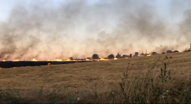 130 dönüm ekili bezelye ile 40 dönüm buğday alev alev yandı