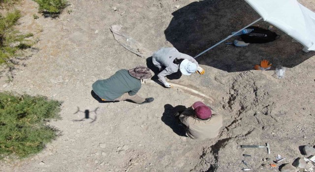 7.5 milyon yıllık tarih gün yüzüne çıkıyor