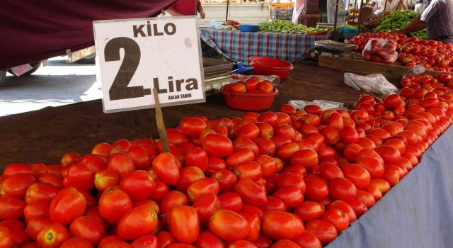 Adanada domatesin kilosu 2 liraya düştü