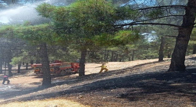 Adıyamanda orman yangını korkuttu