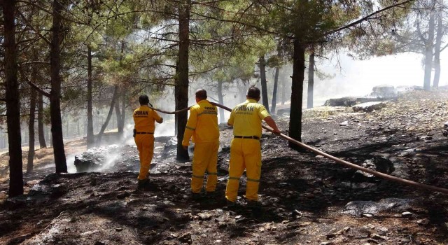 Adıyamanda orman yangını korkuttu
