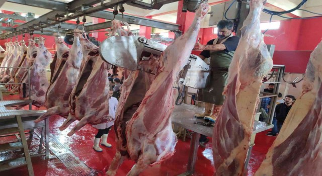 Ağrı Belediyesi Kurban Bayramında tam kapasite çalışıyor