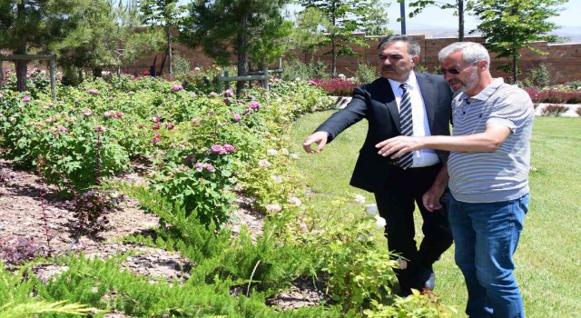 Ahlatta botanik çeşitlilik artırılıyor