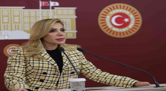 Ak Parti Muğla Milletvekili Gökcandan 15 Temmuz mesajı