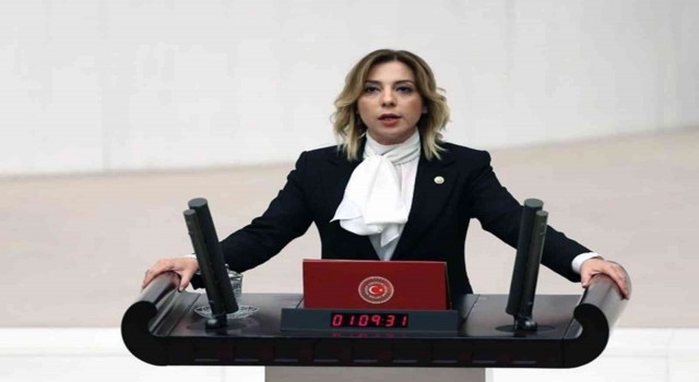 AK Parti Muğla Milletvekili Gökcandan 24 Temmuz Basın Bayramı mesajı