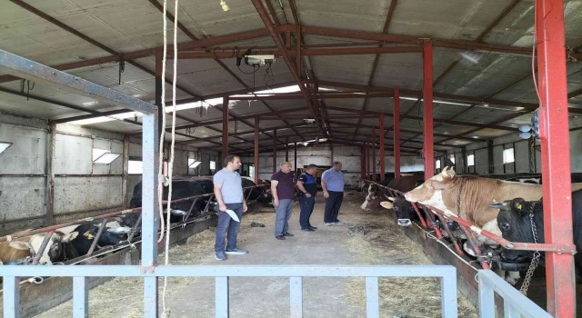 Altınovada kurban satış ve kesim yerlerine sıkı denetim