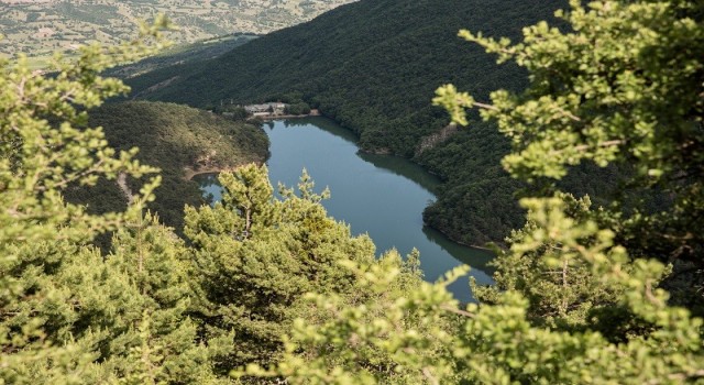 Amasyada ormanlara giriş çıkışlar ve ateşli piknik yasaklandı