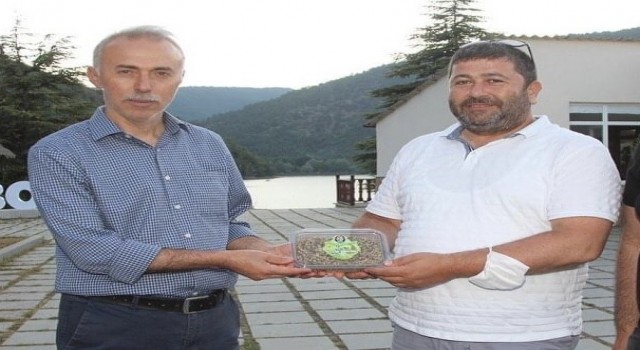 Amasyada yapılan yatırımları incelediler