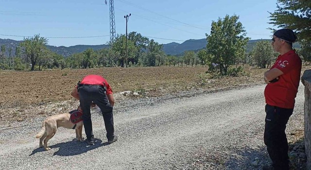 Antalyada kayıp yaşlı kadını arama çalışmaları 6nci gününde sürüyor