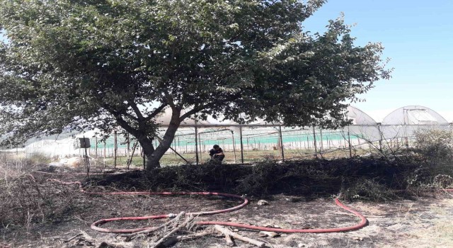 Antalyada makilik alanda çıkan yangın seralara zarar verdi