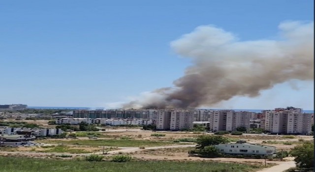 Antalyada orman yangını