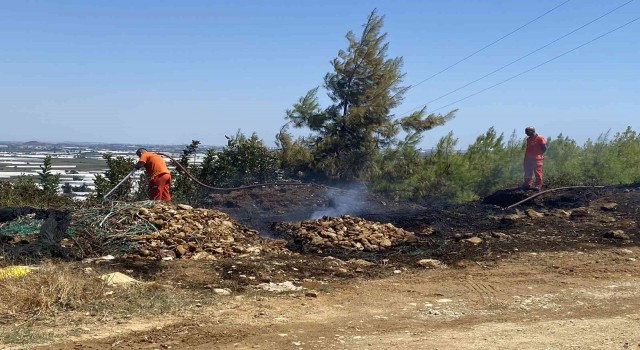 Antalyada ormanlık alanda çıkan yangın korkuttu