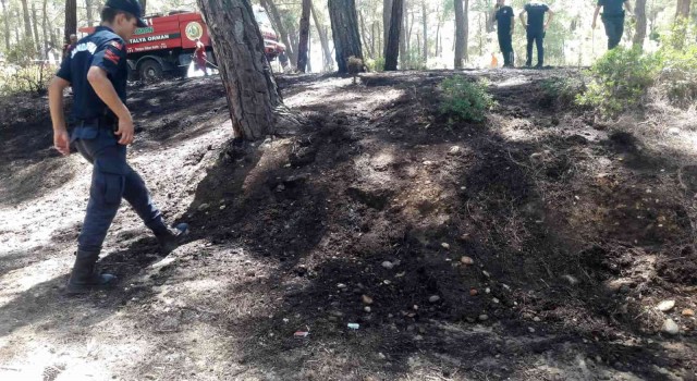 Antalyada ormanlık alanda çıkan yangında kibrit kutuları bulundu