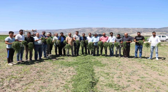 Aracılara sinirlenip İstanbula 2 gün boyunca ürün göndermeyi durdurdular