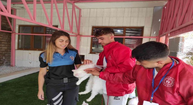 Ardahanlı öğrenciler Van Kedi Villasını gezdi