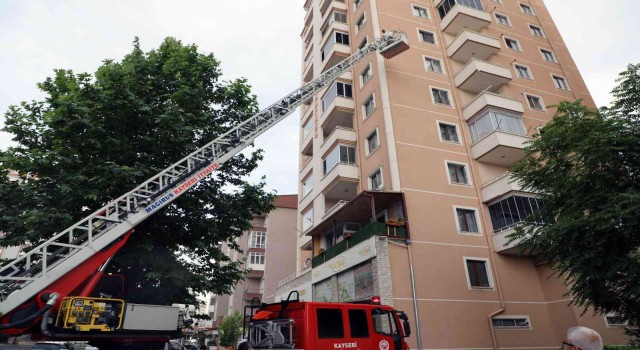 Arılar oğul verdi, belediye duvardan indirdi