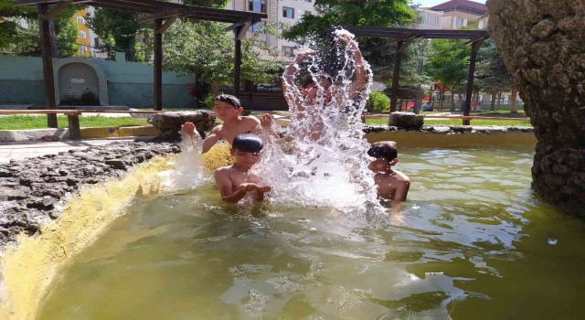 Aşırı sıcaklıklar Vanı da etkisi altına aldı