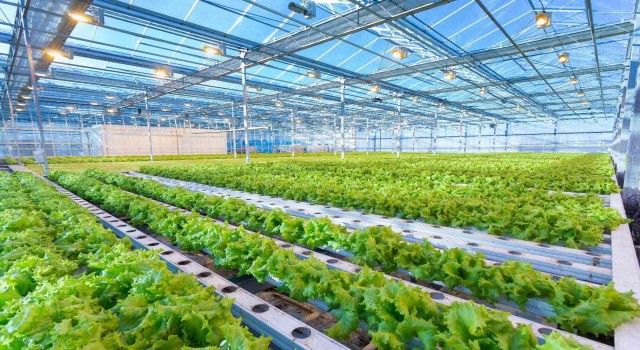 Assan Panel Azerbaycan tesisinde yeni ürün üretimine başladı