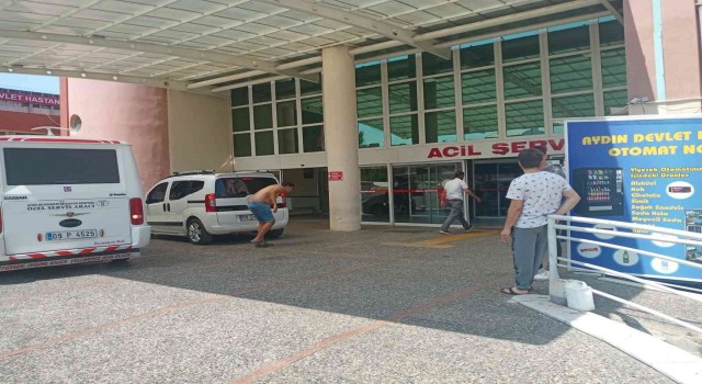 Aydında acemi kasapların bayram bilançosu