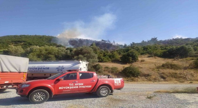 Aydında orman yangını