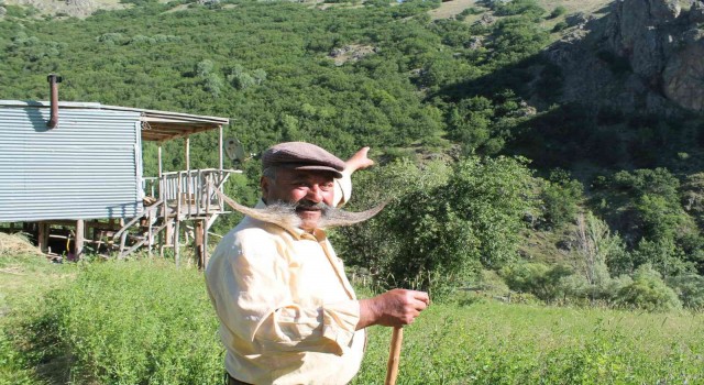 Ayının üzerine yürüyen meşhur pala dayı cesaretiyle ayıya geri adım attırdı