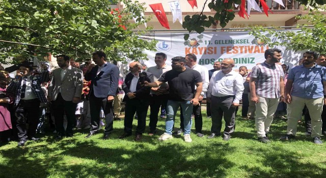 Bağcılarda Kayısı Festivali düzenlendi