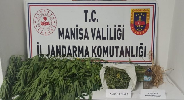 Bahçede kenevir, ikamette esrar ele geçirildi
