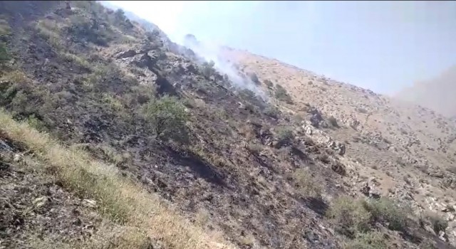 Bahçesaraydaki örtü yangını kontrol altına alındı