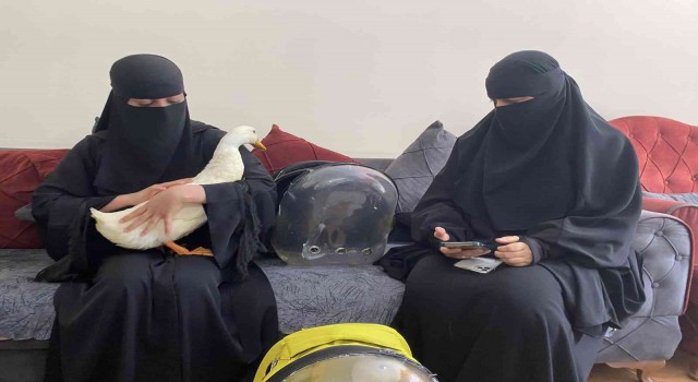 Bahçeşehirdeki ördekleri çantasına koydukları iddia edilen kadın yaşananları anlattı