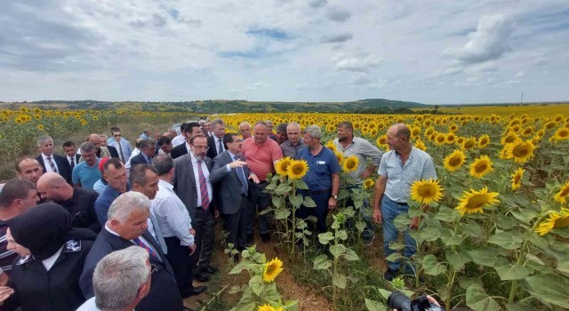 Bakan Yardımcısı Pakdilden tırtıl istilası konusunda rahatlatan açıklama: “Ürkütücü bir tablo yok”