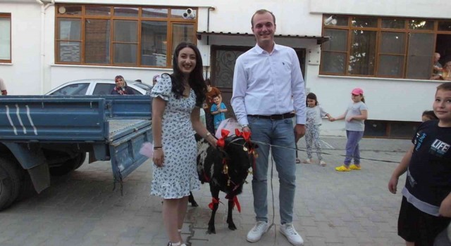 Balıkesirde kurbanlık koçu altınlarla süslediler