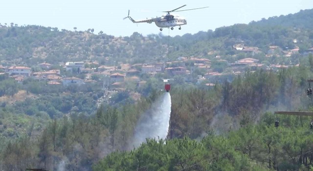 Balıkesirdeki orman yangını söndürüldü