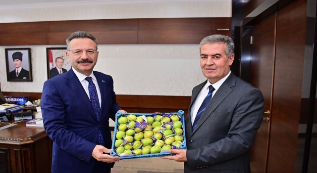 Başkan Erol, sezonun ilk incirini Vali Aksoya takdim etti