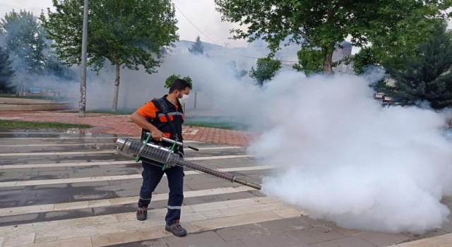 Batmanda 16 bin baca kapağı tek tek açılarak ilaçlandı