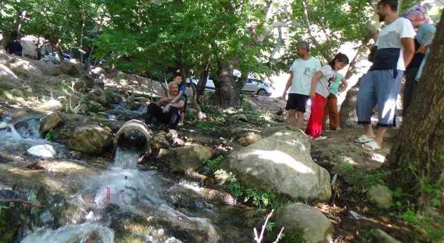 Batmanda Kurban Bayramını fırsat bilen vatandaşlar piknik alanlarına akın etti